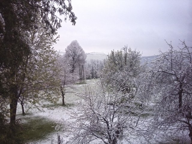 Kwiecień o poranku